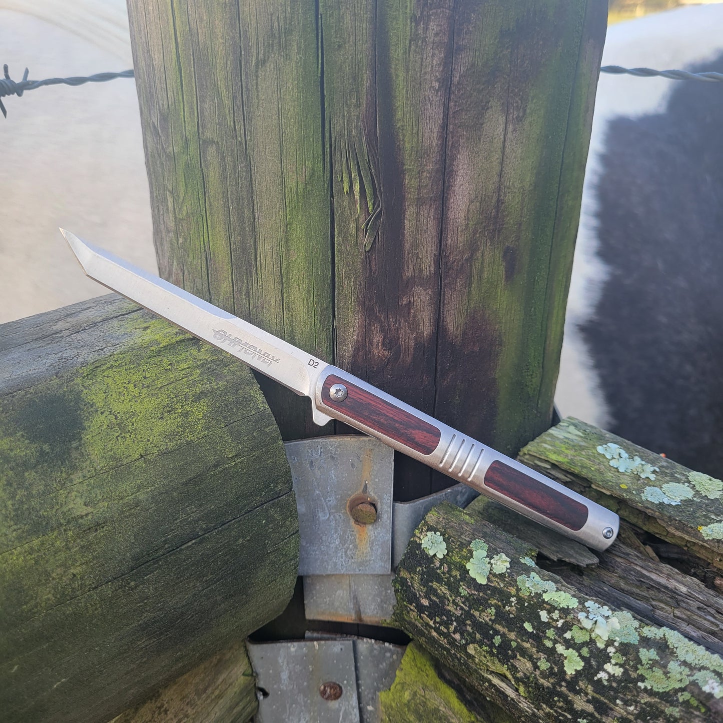 Rosewood Tanto Knife
